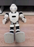 优必选Alpha Ebot悟空AI智能机器人早教机玩具 可编程6-12岁会英语翻译陪伴儿童学习机故事机男女孩礼物 实拍图