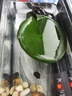 SUNSUN森森鱼缸石英加热棒 适用20-40L 恒温加热器 离水断电 100W 实拍图