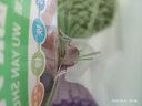 博大宝贝无盐儿童彩色蔬菜面条 钙铁锌菠菜胡萝卜紫薯细面挂面280g 实拍图