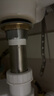 科勒(KOHLER)浴室配件 台盆下水 弹跳落水K-7119T-CP（嵌入式止水塞） 实拍图