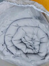 洁丽雅（Grace）A类面料春秋四季被单人学生宿舍被芯被空调被4斤150*200cm经典灰 实拍图
