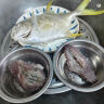 翔泰海南深海金鲳鱼700g 2条 烧烤 火锅 生鲜鱼类 BAP认证 海鲜水产 实拍图
