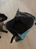 醇粹（Purich）黑标深海鱼猫粮无谷冻干成猫幼猫全价营养鱼油护毛宠物猫干粮10斤 实拍图