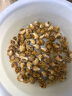 盛怡菲达【顺丰速发】花螺新鲜冷冻东风螺小香螺整箱商用批发海鲜水产 花螺 1000g 实拍图