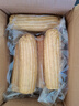 京鲜生东北白糯玉米250g*10棒 新鲜甜糯玉米棒真空包装粘玉米 源头直发 实拍图