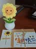 佳妍向日葵针织花朵盆栽摆件 生日礼物幼儿园伴手礼 实拍图