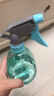 喷壶浇花浇水喷雾器气压式喷水壶家用园艺养花500ml 南瓜喷壶透蓝【1个装】 实拍图