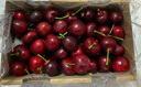 京觅 大连美早樱桃车厘子 J级净重4.8斤 单果8-10g 水果源头直发 实拍图