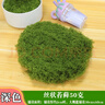 靓做仿真丝状苔藓绿色微景观布置假草坪鱼缸造景假山石头盆景造景铺面 丝状苔藓深绿色【50g】 晒单实拍图