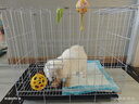 贝初众狗笼小中大型犬狗笼子猫笼带厕所加粗折叠宠物笼子柯基笼幼犬狗笼 白色加粗狗笼62*43*53【15斤内】 白色带厕所托盘 清洁方便 无毛边无倒刺不卡脚 实拍图