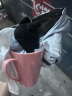 【5元5件更划算】杯子加厚牙刷杯家用漱口杯学生宿舍刷牙杯 随机颜色 简约漱口杯 1个 实拍图