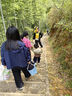 【全网热销】儿童滑板车折叠款1-3-6-12岁可坐可骑踏板滑滑溜溜车 绿色+悍马闪光轮+音乐灯光 实拍图