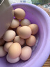 芮瑞 农家散养新鲜现捡鸡蛋笨鸡蛋谷物柴鸡蛋初生蛋 单枚40±5g 12枚 实拍图