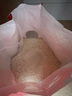 洋河 蓝色经典 海之蓝 52度 520ml*6瓶 整箱装 绵柔浓香型白酒 实拍图
