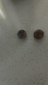 京喜自营云南蒜独头蒜调料京东买菜蔬菜新鲜独头蒜 【14个独头蒜】总重 50g 单果1.5-2cm 实拍图