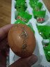 岽鲜活珠子新鲜13天五香香辣味开袋即食毛蛋活珠子鸡胚蛋熟钢化蛋鸡蛋 五香活珠子10枚400g 实拍图