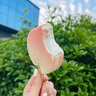 东北大板 白桃口味脆皮冰淇淋 70g*4支套装 盒装 生鲜 冷饮 冰激凌 批发 实拍图