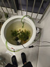 森森 鱼缸过滤桶缸外过滤器外置净水循环过滤系统HW-603B 6W 实拍图