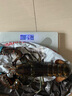 渔传播【活鲜】加拿大波士顿龙虾450-500g/只 鲜活波龙海鲜 源头直发 实拍图