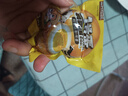 三只松鼠多味鹌鹑蛋混合口味约480g  休闲食品卤蛋铁蛋熟食零食约68颗 实拍图