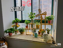 初步学生党高清数码相机ccd平替 校园高中生随身带小型平价新手相机学生高像素可传手机卡片机入门级照 珠光白 32G内存卡 实拍图