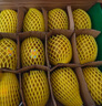 佳沛（zespri）新西兰  阳光金奇异果16粒礼盒经典果单果约 77-103g 水果 猕猴桃 实拍图