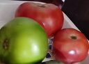 现摘沙瓤西红柿番茄可生吃现摘现发新鲜蔬菜减肥生鲜 大果(单果100g+) 2斤 带箱 实拍图