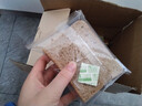 西瓜味的童话 全麦面包健身饱腹代餐黑麦粗粮轻食品无糖精0零食减早餐脂肪整箱 黑麦代餐面包【整箱发2斤】 实拍图