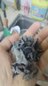 燕之坊东北长白山黑木耳500g特产肉厚无根无杂高泡发干货炒菜凉拌 实拍图