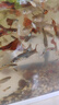 森森（SUNSUN）鱼缸水泵小型潜水泵水循环水族箱过滤泵抽水泵 【升级可底吸】15W流量可调 带水管 实拍图