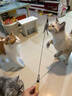 牧灵CFA赛级逗猫棒猫咪玩具自嗨解闷逗猫棒羽毛铃铛替换头小宠物用品 CFA赛级逗猫棒+橘色+彩色羽毛 实拍图