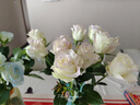 云南鲜花批发品质玫瑰百合水养鲜切花送女友生日礼物源头直发 白色洋桔梗200g 【任选2件—不收运費】 实拍图