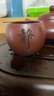 宜兴原矿紫砂杯手工刻绘小号舍得静心品茗杯套装大红袍茶杯主人杯 实拍图