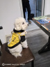 麦富迪 狗狗零食磨牙棒 清口香成犬幼犬咬胶牛肉味220g 实拍图