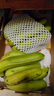 精品云南香蕉高山香蕉现摘新鲜水果甜生青香蕉banana自然熟绿皮 精品高山蕉 9斤 实拍图