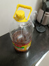 鲁花 食用油 低芥酸特香菜籽油 6.18L   物理压榨 实拍图