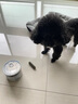麦富迪 狗狗零食 清口香混合味220g成幼犬磨牙棒训练奖励洁齿宠物零食 实拍图