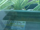 原起点长方形霍伦种菜盆60cm特大种花盆阳台种菜神器长条蔬菜草莓种植盆 橄榄绿2个装【无吸水网】 实拍图