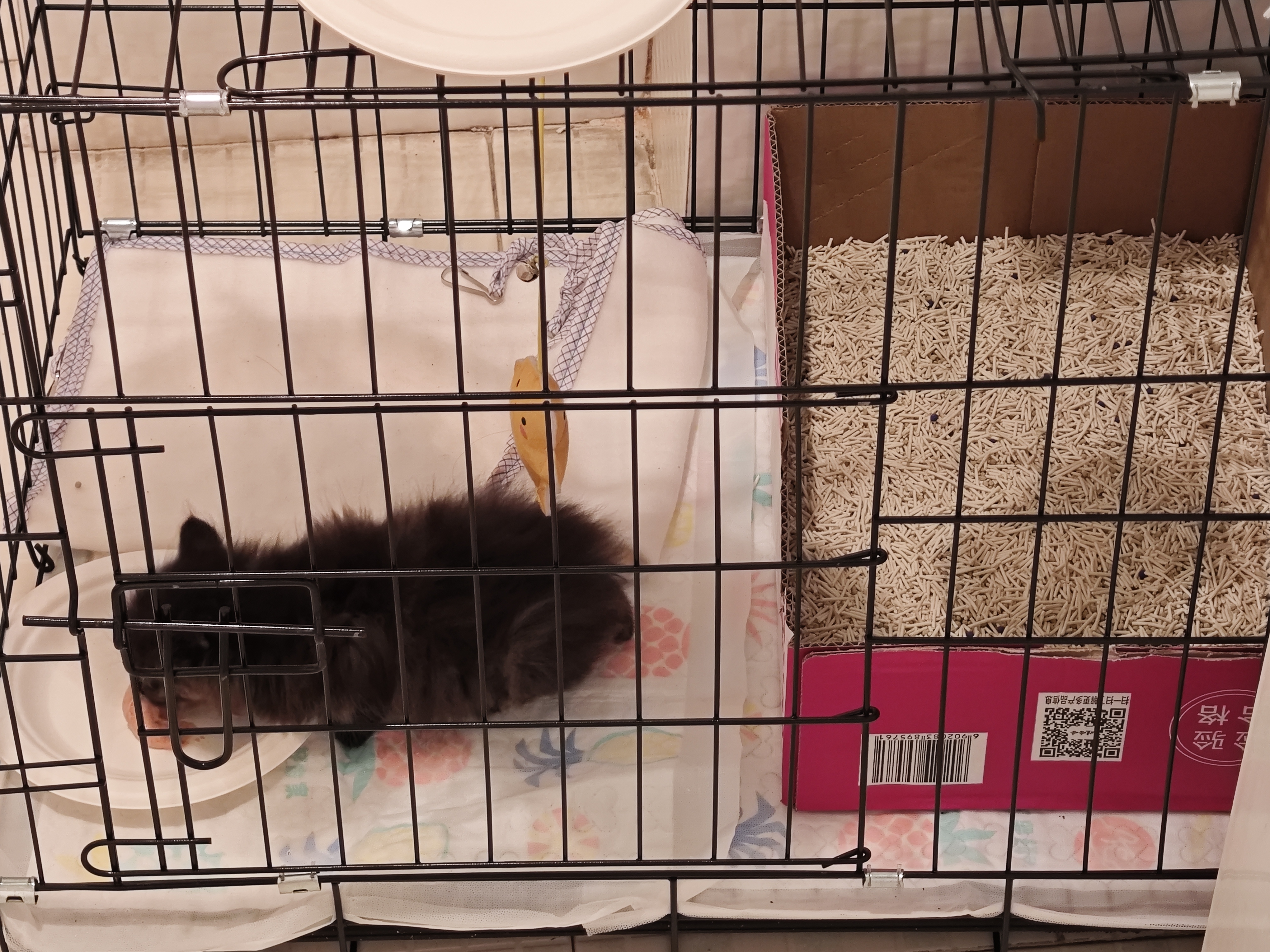 憨憨宠 猫笼 折叠猫笼子带厕所猫别墅幼猫成猫猫舍猫窝双层猫咪笼子 黑色600双层 实拍图