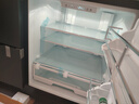 罗曼帝卧式冰箱家用198L底部散热可嵌入式变频风无霜台下岛台橱柜零嵌隐藏式小型柜式餐边柜一体矮冰柜 [零嵌] 莫兰迪灰 实拍图