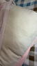 简单生活枕芯花草枕决明子草本枕成人枕头单个装 决明子草本枕45x70cm（2580白） 实拍图