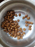 冠能狗粮成犬皮肤呵护成犬狗粮全价7kg 三文鱼配方 改善皮肤敏感 实拍图