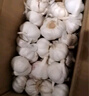 京喜自营大蒜头紫白皮大蒜京东买菜生鲜调料即食凉拌大蒜 【精选】 2斤 单果3.5-5cm 实拍图