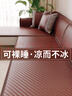 朗格沙发垫夏季沙发凉席坐垫竹纤维沙发套罩2025新款轻奢高级感盖布 竹纤维-檀棕 60cm*210cm （三人位） 实拍图