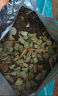 亿迪猫粮冻干幼猫成猫全价全阶段5斤布偶蓝猫英短小包装2.5kg 实拍图