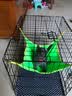 憨憨宠 猫笼 折叠猫笼子带厕所猫别墅幼猫成猫猫舍猫窝双层猫咪笼子 黑色600双层 实拍图