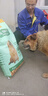 麦富迪狗粮藻趣儿15kg 成犬中大型小型犬通用牛肉螺旋藻 金毛泰迪柯基 实拍图