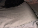 诺伊曼（noyoke）乳胶枕头泰国进口原液天然乳胶波浪乳胶枕头透气枕芯成人颈椎枕 实拍图
