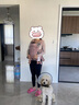 BabyBjorn瑞典品牌进口透气婴幼儿背带抱娃神器Harmony背带0-3岁 达斯丁粉 实拍图
