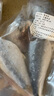 鲜拔头筹马鲛鱼切片 青岛大鲅鱼中段尾段整条去头去尾深海鱼类海鲜 中尾段2.5斤（净重）6段/斤 实拍图